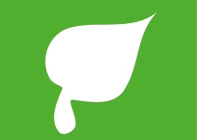 STEICO